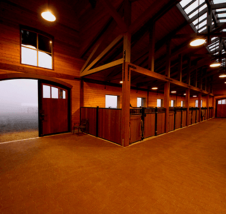 إيواء الخيل