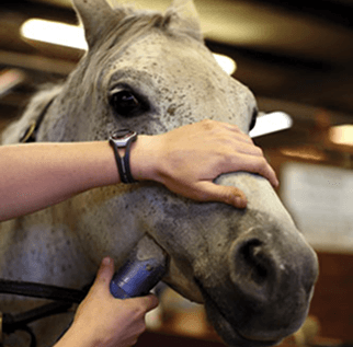 خدمات الحلاقة