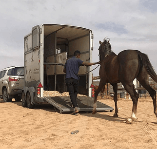 عربات التوصيل