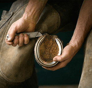 خدمات التحذية